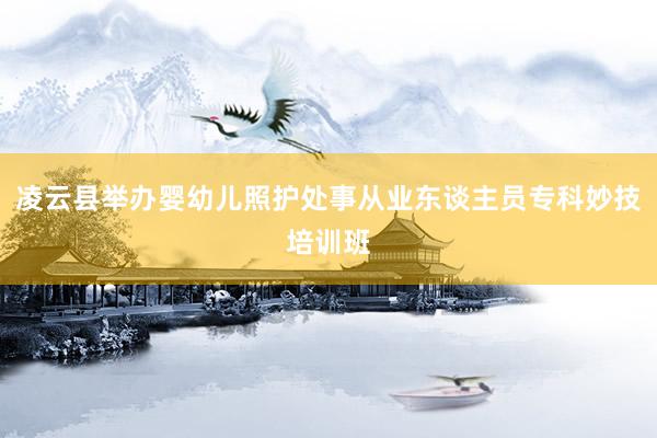 凌云县举办婴幼儿照护处事从业东谈主员专科妙技培训班