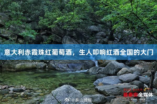 意大利赤霞珠红葡萄酒，生人叩响红酒全国的大门